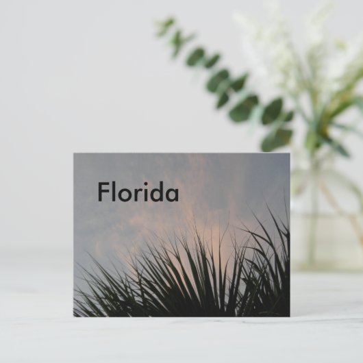 Florida Sunset - Postkarte (Stehend Vorderseite)