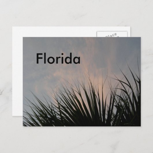 Florida Sunset - Postkarte (Vorne/Hinten)