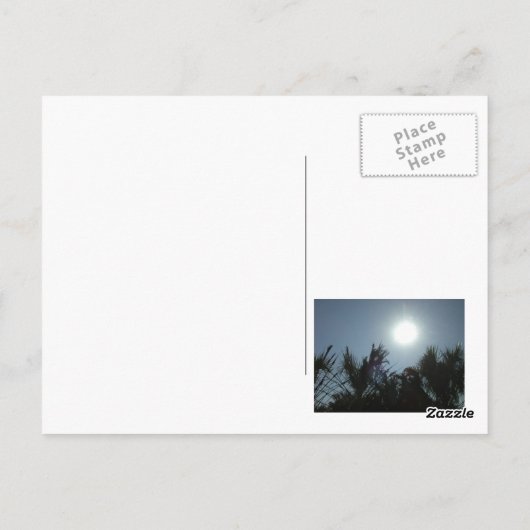 Florida Sunset - Postkarte (Rückseite)