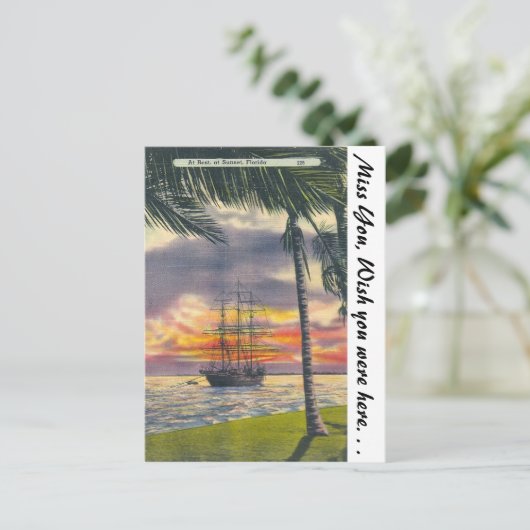 Florida Sunset Postkarte (Stehend Vorderseite)