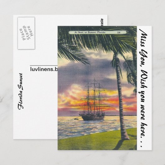 Florida Sunset Postkarte (Vorne/Hinten)