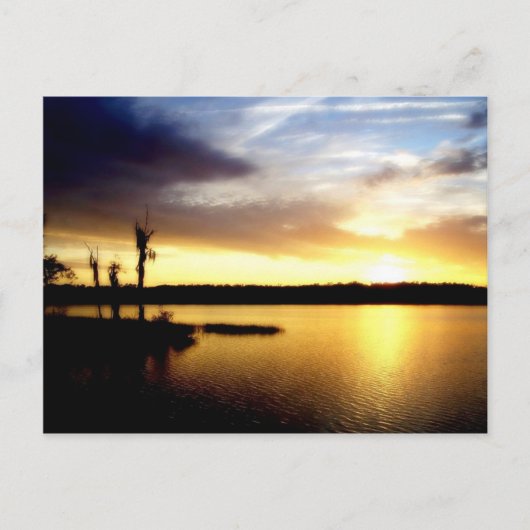 Florida Sunset Postkarte (Vorderseite)