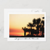 Florida Sunset Seagrove Beach Palmen Postkarte (Vorne/Hinten)