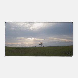 Florida Sunshine on lone pine Nature Fotografy Schreibtischunterlage
