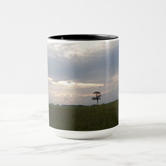 Florida Sunshine on lone pine tree Nature Foto Tasse (Zentrum)