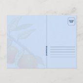 Florida Sunshine Postcard Postkarte (Rückseite)