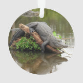 Florida Swamp Gator - Akryler Ziergegend Ornament (Rückseite)