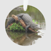Florida Swamp Gator - Akryler Ziergegend Ornament (Vorderseite)