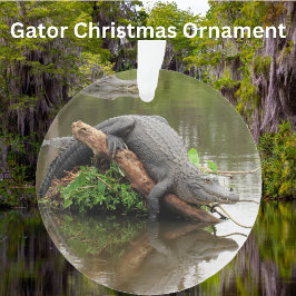 Florida Swamp Gator - Akryler Ziergegend Ornament