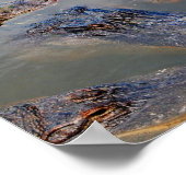 Florida-swimming-hole-design-001 Poster (Ecke)
