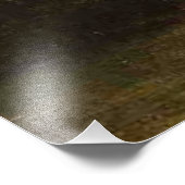Florida-Szene, Kunstgemälde, Fotodruck (Ecke)