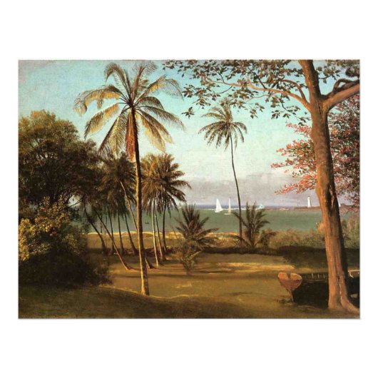 Florida-Szene, Kunstgemälde, Fotodruck (Vorne)