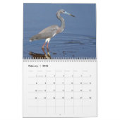 Florida-Szenen Kalender (Feb 2026)