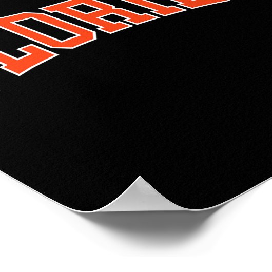 Florida T-1 Poster (Ecke)