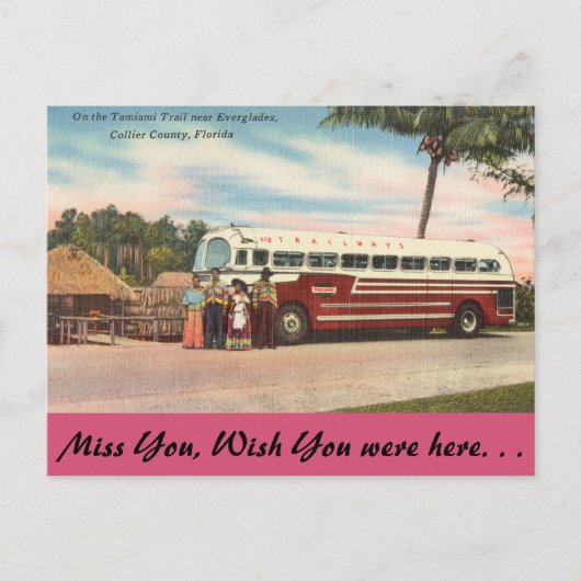 Florida, Tamiami Trail, Everglades Postkarte (Vorderseite)