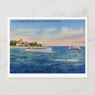 Florida-Tarpun-Fischerei Postkarte