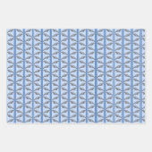 Florida-Tiere Geschenkpapier Set (Vorderseite)
