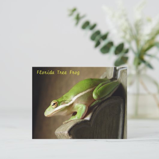 Florida Tree Frog Postcard Postkarte (Stehend Vorderseite)