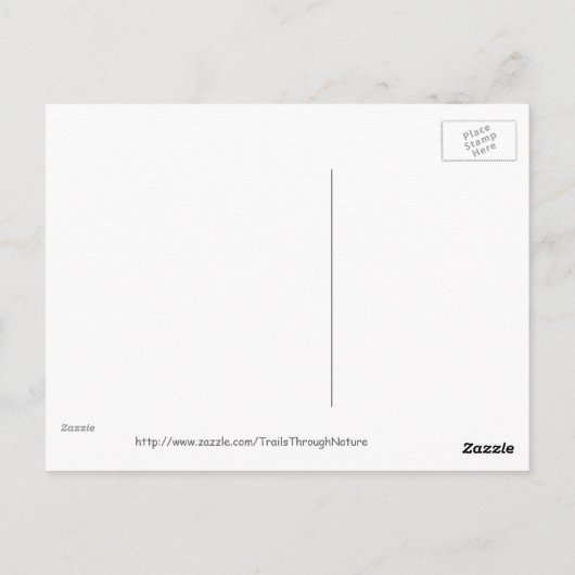 Florida Tree Frog Postcard Postkarte (Rückseite)