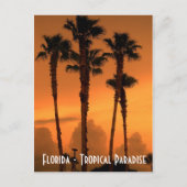 Florida Tropical Paradise Sunset Postcard Foto Postkarte (Vorderseite)