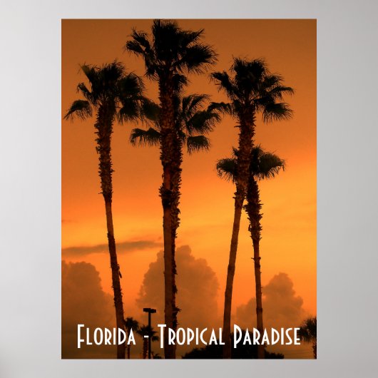 Florida Tropical Paradise Sunset Poster Foto (Vorne)
