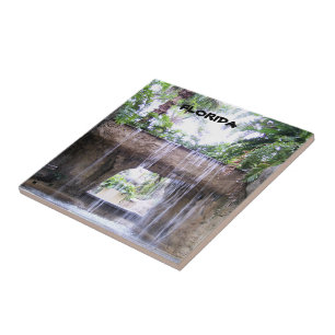 Florida-Tropische-Wasserfall-Gartenszene Fliese