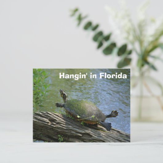 Florida Turtle Postcard Postkarte (Stehend Vorderseite)
