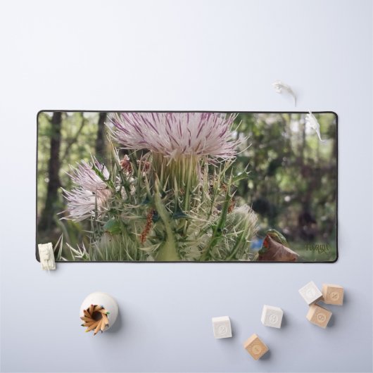 Florida Two Frogs on a Milk Thistle Natural Foto Schreibtischunterlage (Kindertisch)