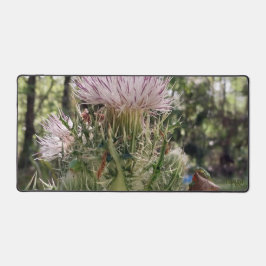 Florida Two Frogs on a Milk Thistle Natural Foto Schreibtischunterlage