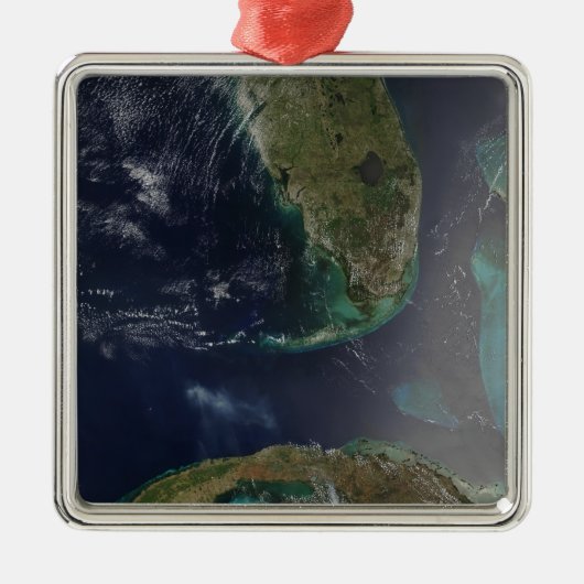 Florida und Kuba Ornament Aus Metall (Vorne)