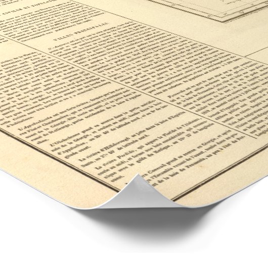 Florida US Poster (Ecke)