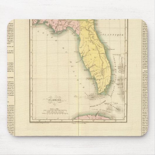 Florida USA Mousepad (Vorne)