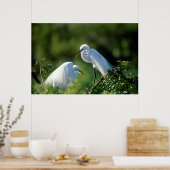 Florida, Venedig, Audubon-Heiligtum, Gemeinsames E Poster (Küche)