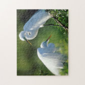 Florida, Venedig, Audubon-Heiligtum, Gemeinsames E Puzzle (Vertikal)