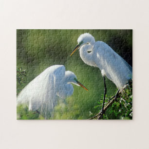 Florida, Venedig, Audubon-Schutzgebiet, Silberreih Puzzle