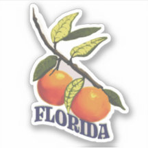 Florida Vintag Orange