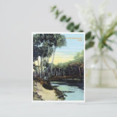 Florida, Vintager Caloosahatchee Postkarte (Stehend Vorderseite)