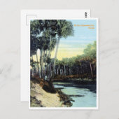 Florida, Vintager Caloosahatchee Postkarte (Vorne/Hinten)
