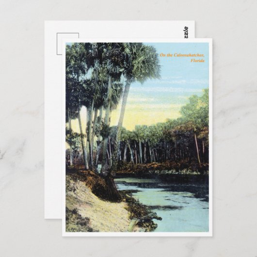 Florida, Vintager Caloosahatchee Postkarte (Vorne/Hinten)