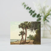 Florida Vintages Foto 1898 Postkarte (Stehend Vorderseite)