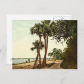 Florida Vintages Foto 1898 Postkarte (Vorne/Hinten)