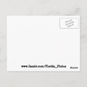 Florida von der Raum-Postkarte Postkarte (Rückseite)