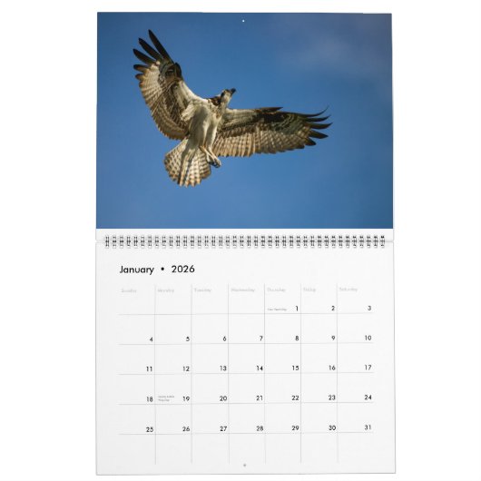 Florida Water Birds Calendar 2023-2024 Kalender (Jan 2026)