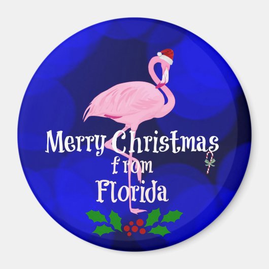 Florida Weihnachtsgrüße von Santa Flamingo Ma Magnet (Vorne)