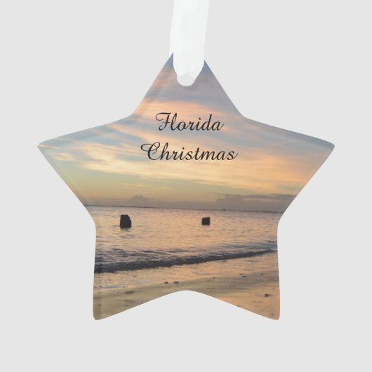 Florida-Weihnachtsverzierung Ornament (Rückseite)