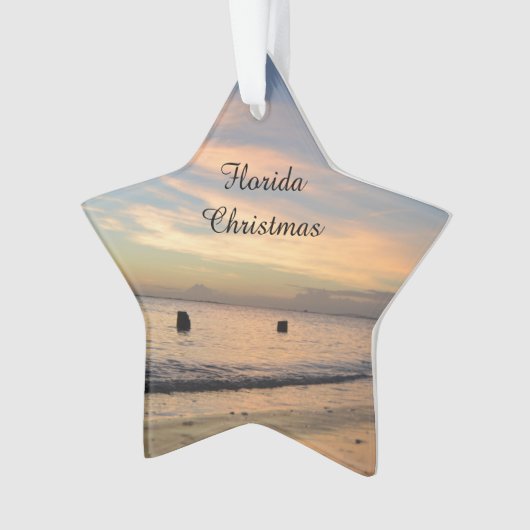 Florida-Weihnachtsverzierung Ornament (Vorderseite)