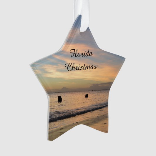 Florida-Weihnachtsverzierung Ornament (Vorderseite)