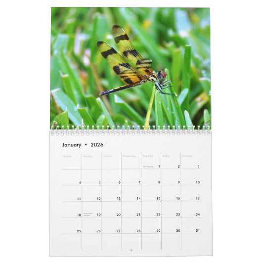 Florida-wild lebende Tiere Kalender (Jan 2026)