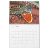 Florida-wild lebende Tiere Kalender (Mär 2027)