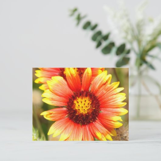 Florida Wildblume Postkarte (Stehend Vorderseite)